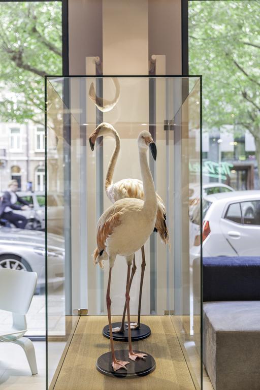 The Dutch Maastricht Hotel Ngoại thất bức ảnh
